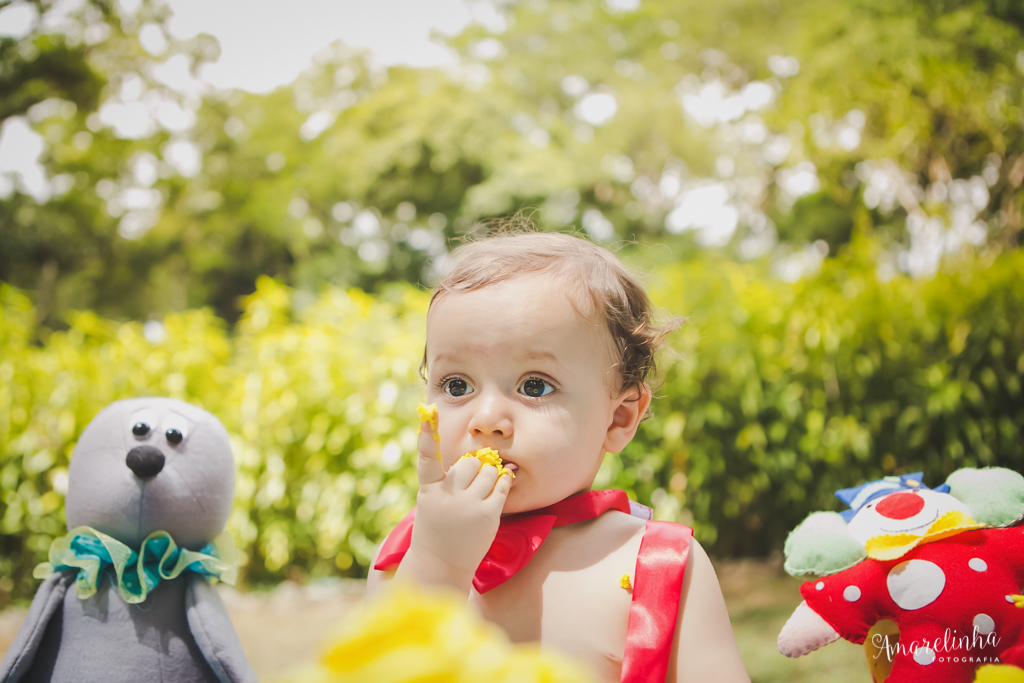 amarelinha_fotografia_de_ensaio_infantil_smash_the_cake_e_smash_the_fruit_rio_de_janeiro_marapendi_bosque_da_barra_jardim_botanico_lagoa_e_sitio_meio_do_mato-8473